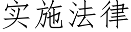 实施法律 (仿宋矢量字库)