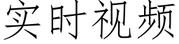 实时视频 (仿宋矢量字库)