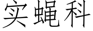 实蝇科 (仿宋矢量字库)