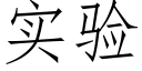 实验 (仿宋矢量字库)