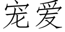 宠爱 (仿宋矢量字库)