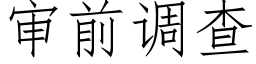 审前调查 (仿宋矢量字库)