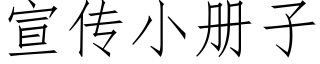 宣传小册子 (仿宋矢量字库)