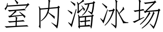 室内溜冰场 (仿宋矢量字库)