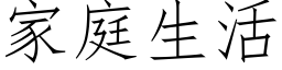 家庭生活 (仿宋矢量字庫)