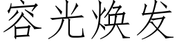 容光煥發 (仿宋矢量字庫)