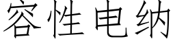 容性電納 (仿宋矢量字庫)