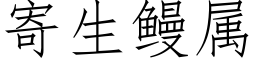 寄生鳗屬 (仿宋矢量字庫)