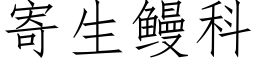 寄生鳗科 (仿宋矢量字庫)