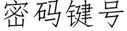 密碼鍵号 (仿宋矢量字庫)