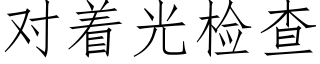 對着光檢查 (仿宋矢量字庫)