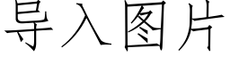 導入圖片 (仿宋矢量字庫)