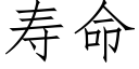 壽命 (仿宋矢量字庫)