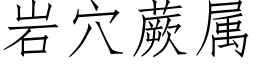 岩穴蕨属 (仿宋矢量字库)