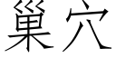 巢穴 (仿宋矢量字庫)