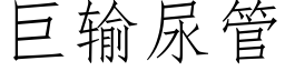 巨输尿管 (仿宋矢量字库)