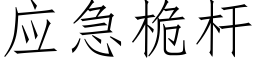 应急桅杆 (仿宋矢量字库)