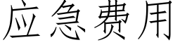 应急费用 (仿宋矢量字库)