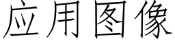 应用图像 (仿宋矢量字库)