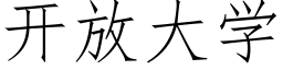 开放大学 (仿宋矢量字库)