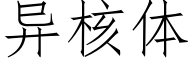 异核体 (仿宋矢量字库)