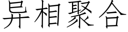 異相聚合 (仿宋矢量字庫)