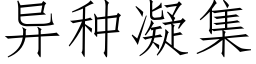 異種凝集 (仿宋矢量字庫)