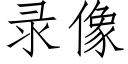 录像 (仿宋矢量字库)