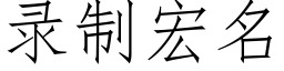 录制宏名 (仿宋矢量字库)