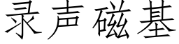 录声磁基 (仿宋矢量字库)