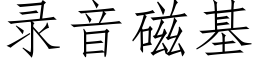 錄音磁基 (仿宋矢量字庫)