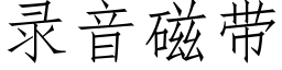 录音磁带 (仿宋矢量字库)