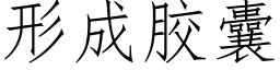 形成胶囊 (仿宋矢量字库)