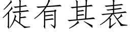 徒有其表 (仿宋矢量字库)