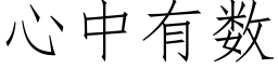 心中有數 (仿宋矢量字庫)