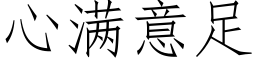 心滿意足 (仿宋矢量字庫)