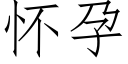 怀孕 (仿宋矢量字库)