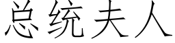 总统夫人 (仿宋矢量字库)