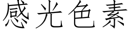 感光色素 (仿宋矢量字庫)