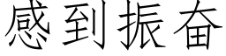 感到振奮 (仿宋矢量字庫)