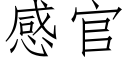 感官 (仿宋矢量字库)