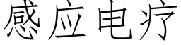 感应电疗 (仿宋矢量字库)