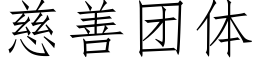 慈善團體 (仿宋矢量字庫)