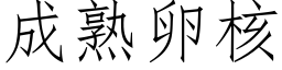 成熟卵核 (仿宋矢量字库)