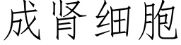 成腎細胞 (仿宋矢量字庫)