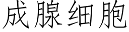 成腺细胞 (仿宋矢量字库)