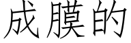 成膜的 (仿宋矢量字库)