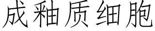 成釉質細胞 (仿宋矢量字庫)