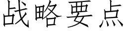 战略要点 (仿宋矢量字库)