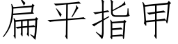 扁平指甲 (仿宋矢量字庫)